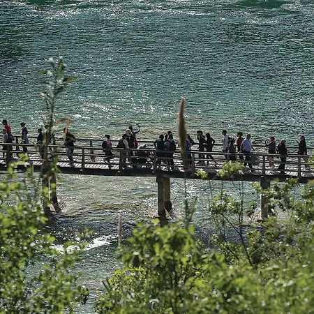 Lovely In Apartment *